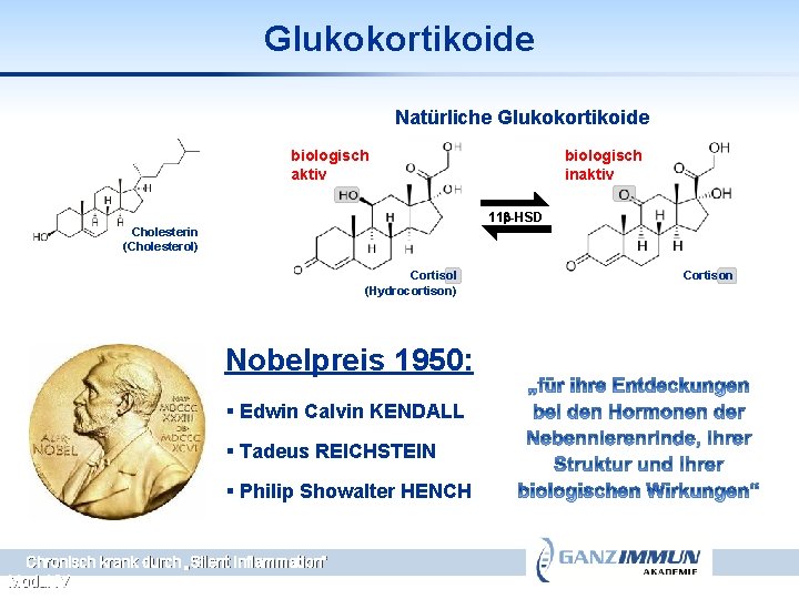 Glukokortikoide Natürliche Glukokortikoide biologisch aktiv biologisch inaktiv 11 b-HSD Cholesterin (Cholesterol) Cortisol (Hydrocortison) Nobelpreis