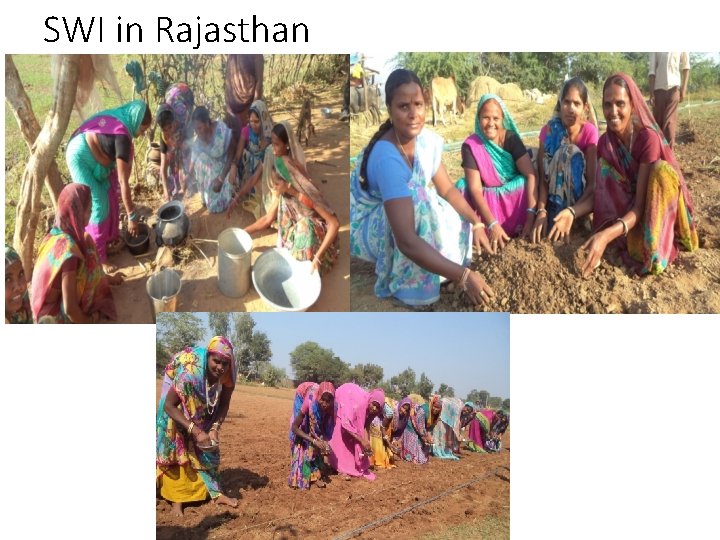 SWI in Rajasthan SWI in Rajasthan