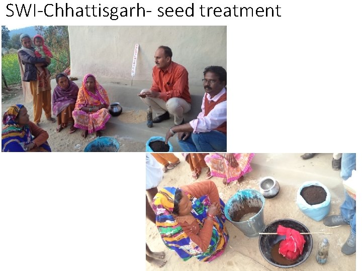 SWI-Chhattisgarh- seed treatment SWI-Chhattisgarh- seed treatment