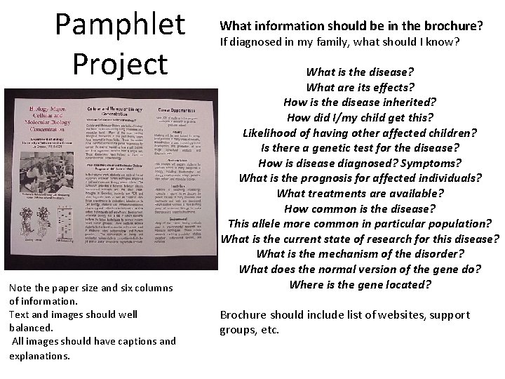 Pamphlet Project Note the paper size and six columns of information. Text and images