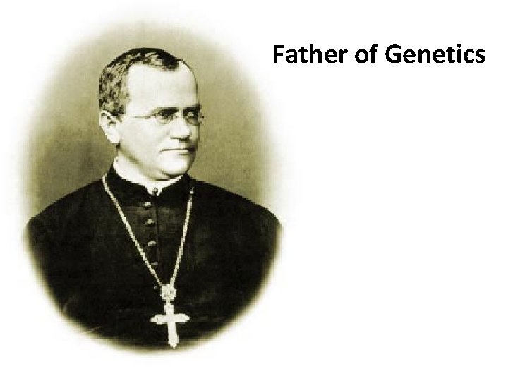 Father of Genetics 