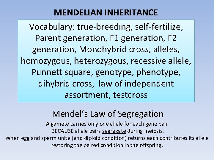 MENDELIAN INHERITANCE Vocabulary: true-breeding, self-fertilize, Parent generation, F 1 generation, F 2 generation, Monohybrid
