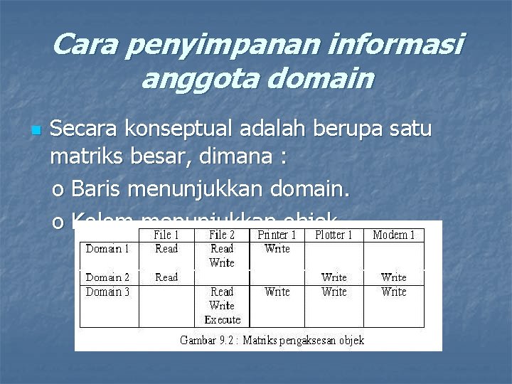 Cara penyimpanan informasi anggota domain n Secara konseptual adalah berupa satu matriks besar, dimana