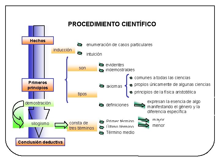 Tema 3 Aristóteles Imagen 4 HISTORIA DE LA FILOSOFÍA - 2º BACHILLERATO PROCEDIMIENTO CIENTÍFICO