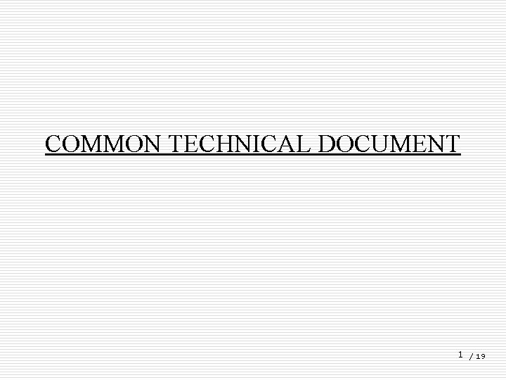 COMMON TECHNICAL DOCUMENT 1 / 19 