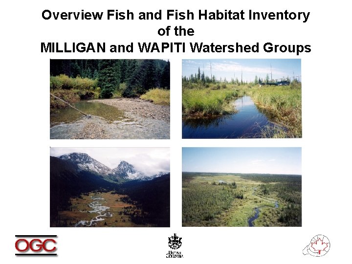 Overview Fish and Fish Habitat Inventory of the MILLIGAN and WAPITI Watershed Groups 