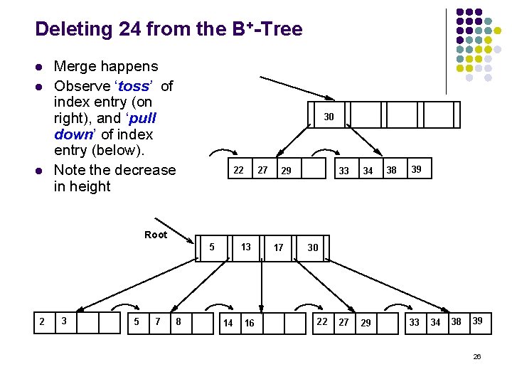 Deleting 24 from the B+-Tree l l l Merge happens Observe ‘toss’ of index