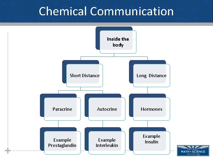 Chemical Communication Inside the body Short Distance Paracrine Autocrine Example Prostaglandin Example Interleukin Long Chemical Communication Inside the body Short Distance Paracrine Autocrine Example Prostaglandin Example Interleukin Long