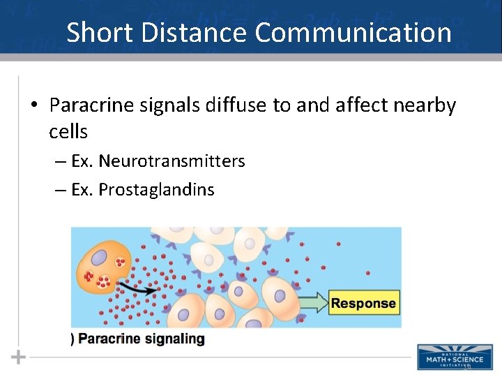 Short Distance Communication • Paracrine signals diffuse to and affect nearby cells – Ex. Short Distance Communication • Paracrine signals diffuse to and affect nearby cells – Ex.