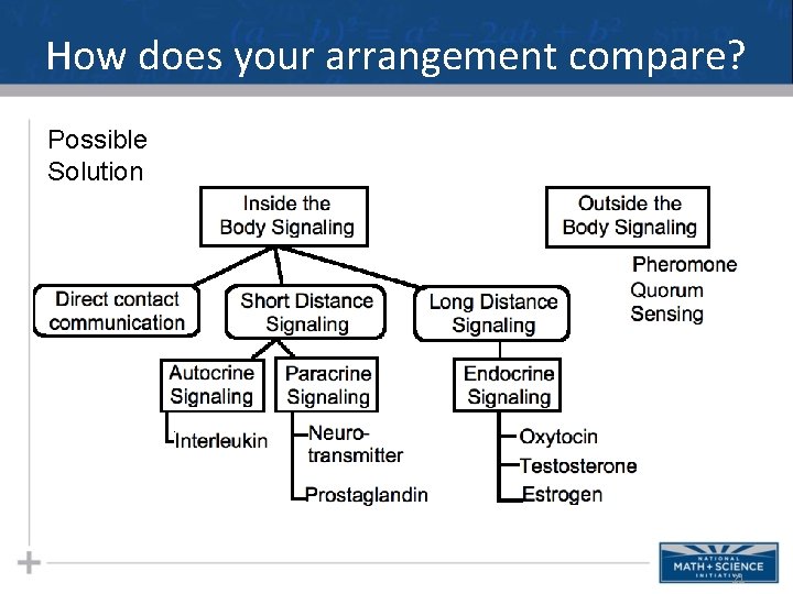 How does your arrangement compare? Possible Solution 21 How does your arrangement compare? Possible Solution 21