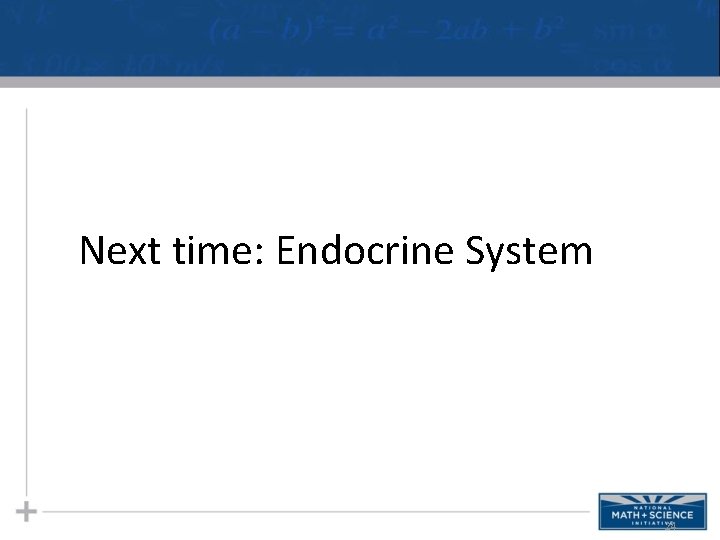 Next time: Endocrine System 24 Next time: Endocrine System 24