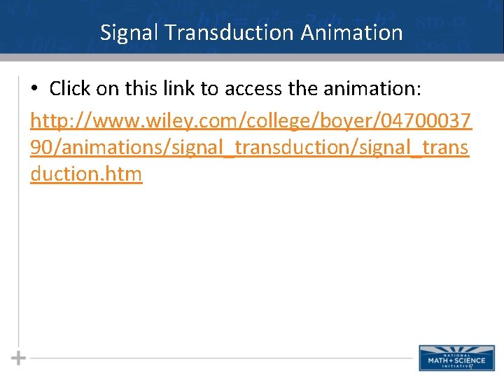 Signal Transduction Animation • Click on this link to access the animation: http: //www. Signal Transduction Animation • Click on this link to access the animation: http: //www.