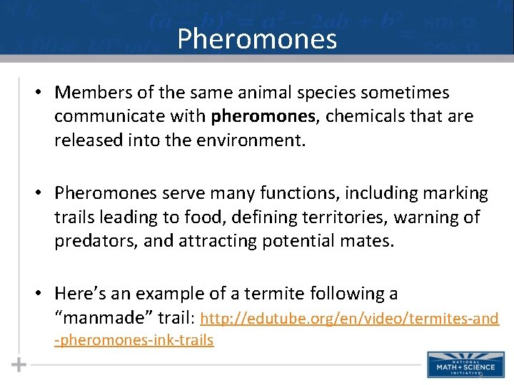 Pheromones • Members of the same animal species sometimes communicate with pheromones, chemicals that Pheromones • Members of the same animal species sometimes communicate with pheromones, chemicals that
