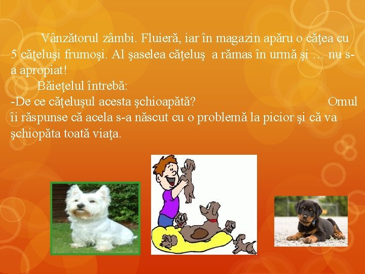 Vânzătorul zâmbi. Fluieră, iar în magazin apăru o căţea cu 5 căţeluşi frumoşi. Al