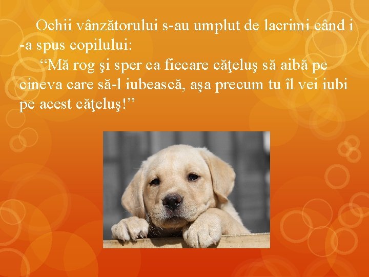 Ochii vânzătorului s-au umplut de lacrimi când i -a spus copilului: “Mă rog şi