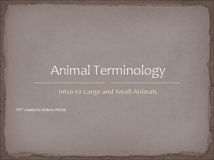 Animal Terminology Intro to Large and Small Animals PPT created by Brittany Whyler 