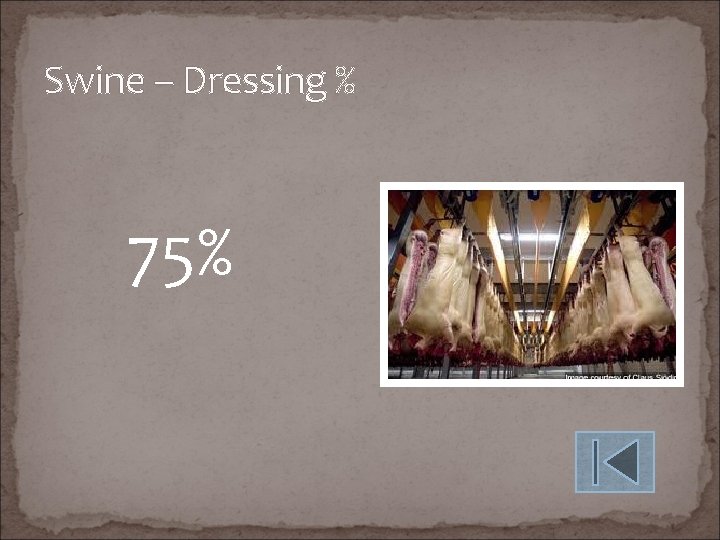 Swine – Dressing % 75% 