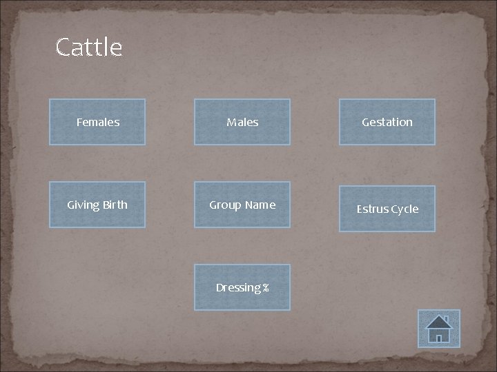 Cattle Females Males Gestation Giving Birth Group Name Estrus Cycle Dressing % 