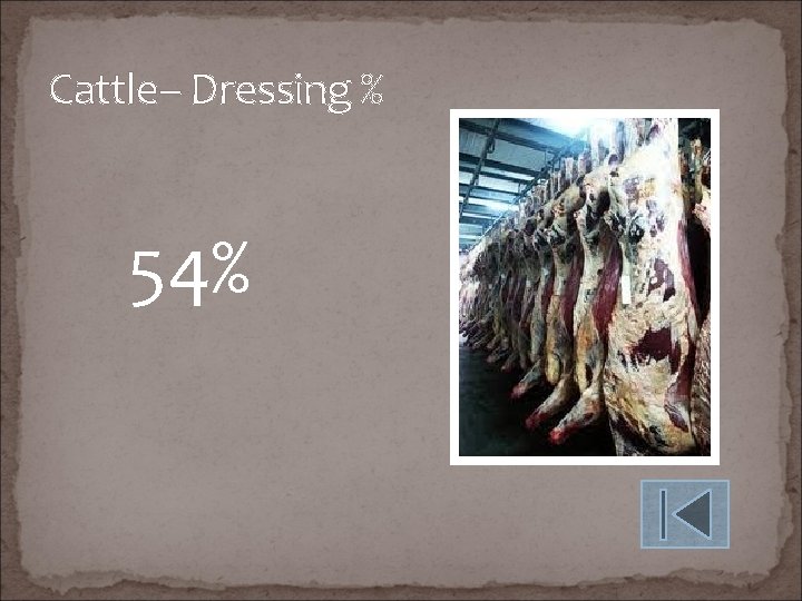 Cattle– Dressing % 54% 