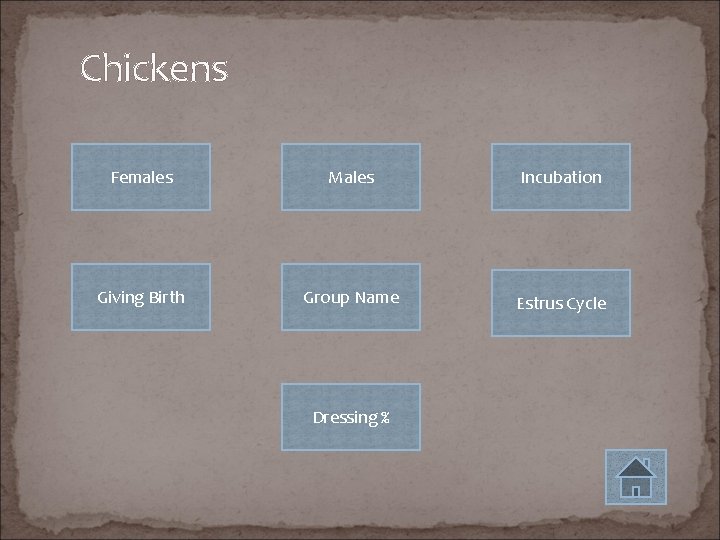 Chickens Females Males Incubation Giving Birth Group Name Estrus Cycle Dressing % 