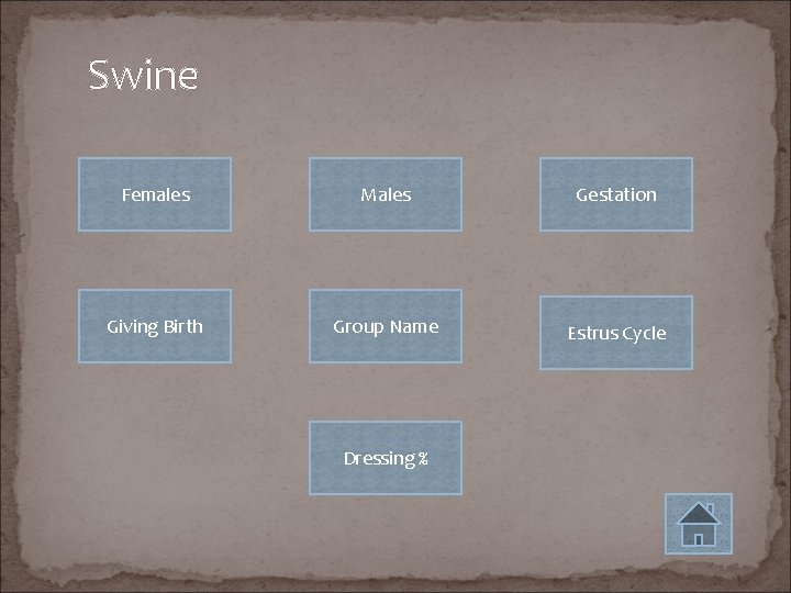 Swine Females Males Gestation Giving Birth Group Name Estrus Cycle Dressing % 