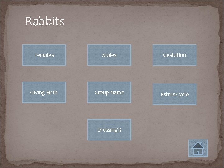 Rabbits Females Males Gestation Giving Birth Group Name Estrus Cycle Dressing % 