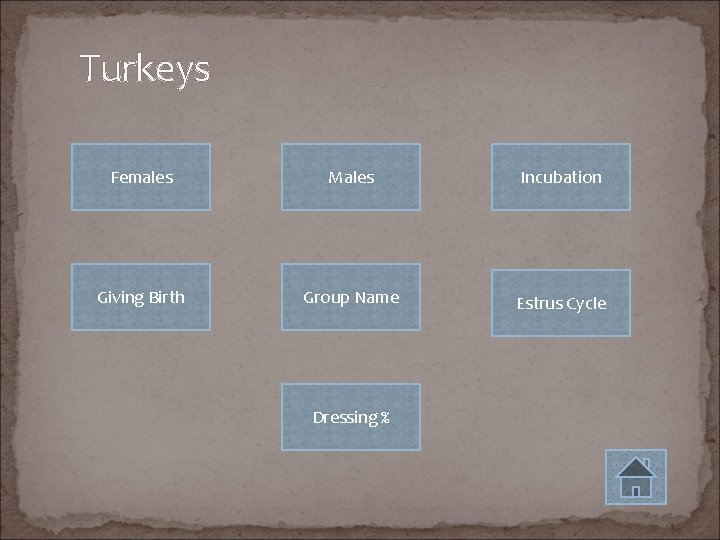 Turkeys Females Males Incubation Giving Birth Group Name Estrus Cycle Dressing % 