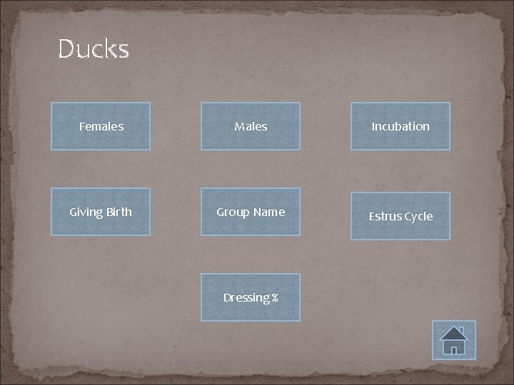 Ducks Females Males Incubation Giving Birth Group Name Estrus Cycle Dressing % 