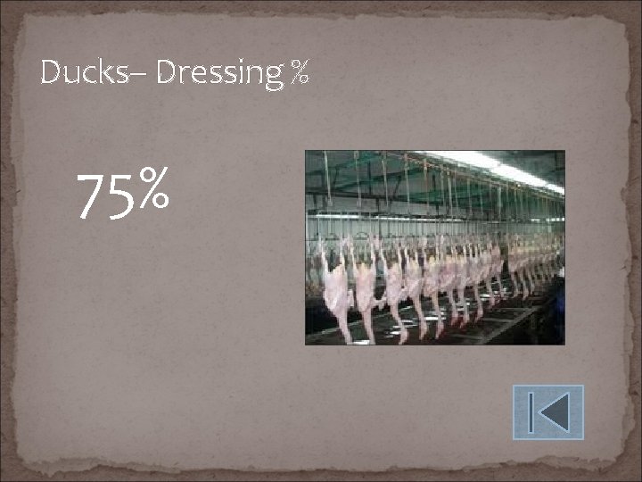 Ducks– Dressing % 75% 
