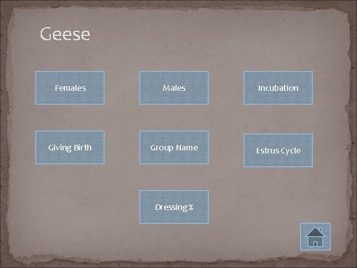 Geese Females Males Incubation Giving Birth Group Name Estrus Cycle Dressing % 