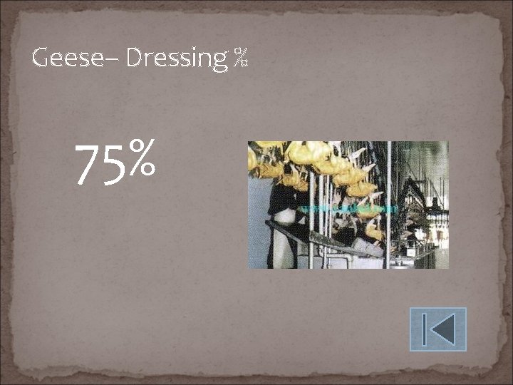 Geese– Dressing % 75% 