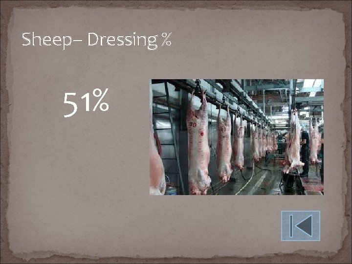 Sheep– Dressing % 51% 
