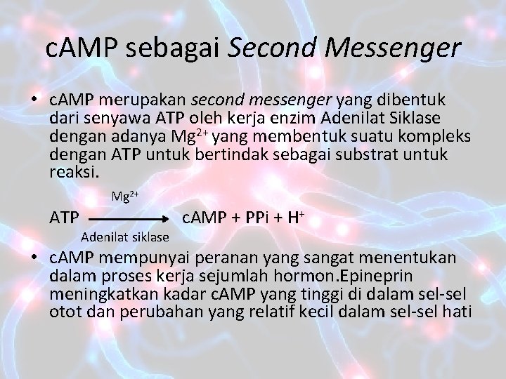 c. AMP sebagai Second Messenger • c. AMP merupakan second messenger yang dibentuk dari