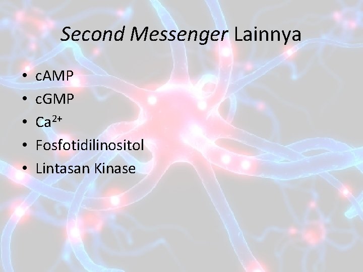 Second Messenger Lainnya • • • c. AMP c. GMP Ca 2+ Fosfotidilinositol Lintasan