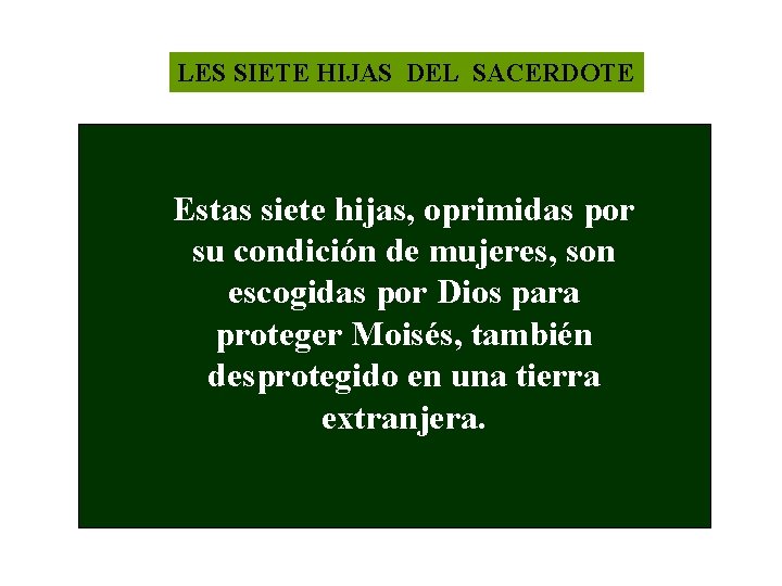 LES SIETE HIJAS DEL SACERDOTE Estas siete hijas, oprimidas por su condición de mujeres,