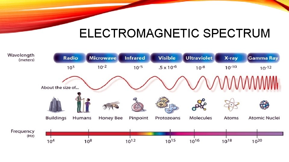 ELECTROMAGNETIC SPECTRUM 