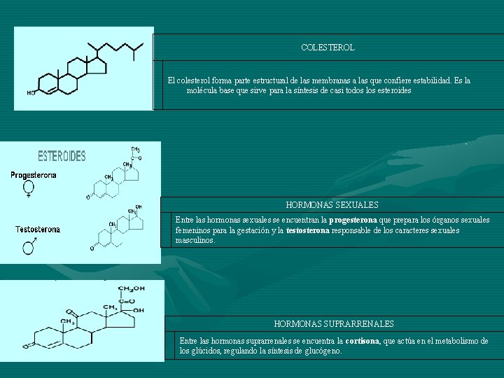 4 tácticas clave que utilizan los profesionales para medicamentos con esteroides