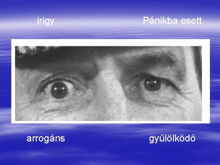 irigy Pánikba esett arrogáns gyűlölködő 