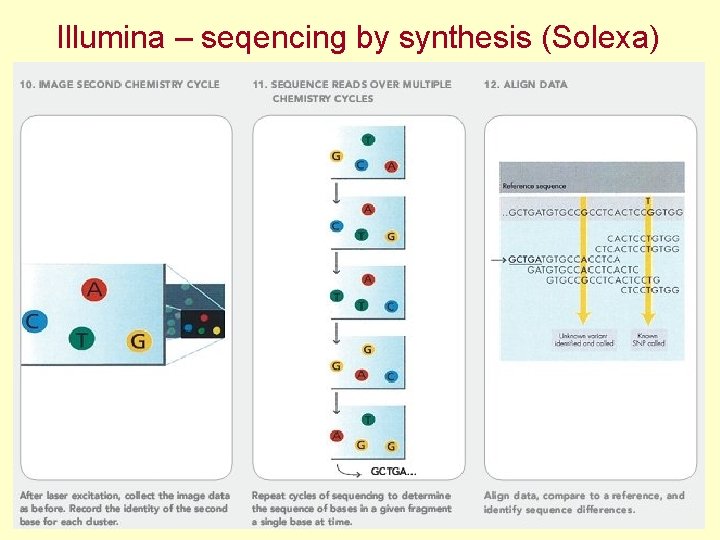 Illumina – seqencing by synthesis (Solexa) 