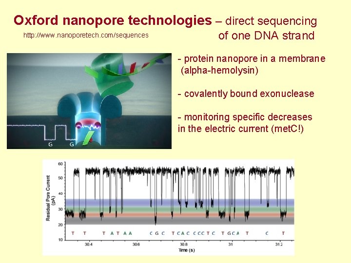 Oxford nanopore technologies – direct sequencing http: //www. nanoporetech. com/sequences of one DNA strand