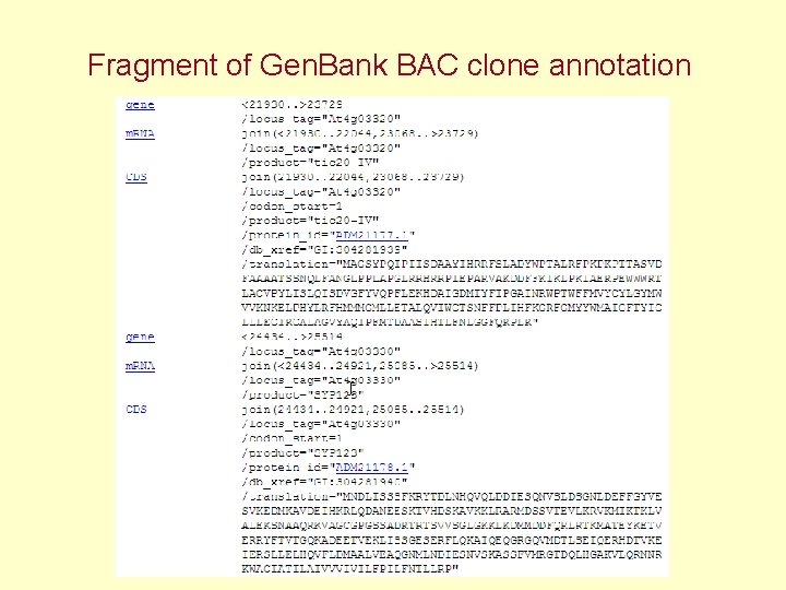 Fragment of Gen. Bank BAC clone annotation 