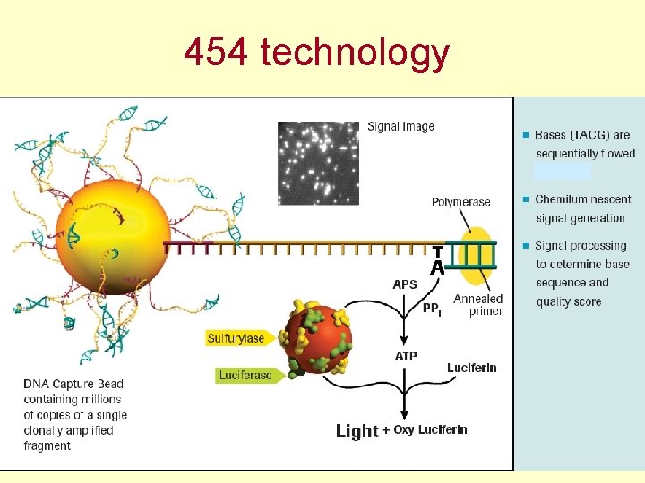 454 technology 