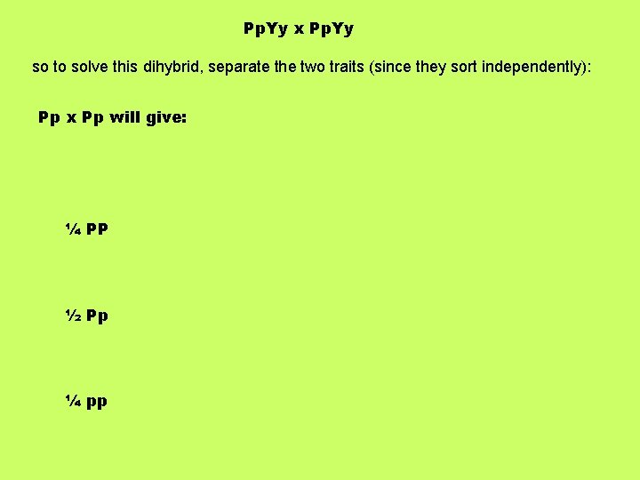 Pp. Yy x Pp. Yy so to solve this dihybrid, separate the two traits
