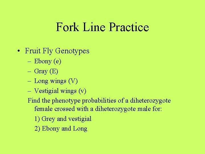 Fork Line Practice • Fruit Fly Genotypes – Ebony (e) – Gray (E) –