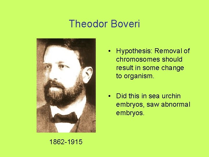 Theodor Boveri • Hypothesis: Removal of chromosomes should result in some change to organism.