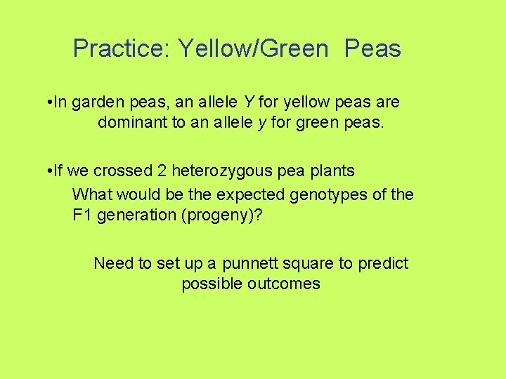 Practice: Yellow/Green Peas • In garden peas, an allele Y for yellow peas are