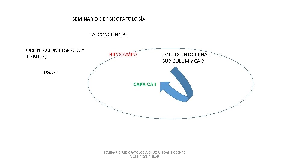 SEMINARIO DE PSICOPATOLOGÍA LA CONCIENCIA ORIENTACION ( ESPACIO Y TIEMPO ) HIPOCAMPO CORTEX ENTORRINAL,