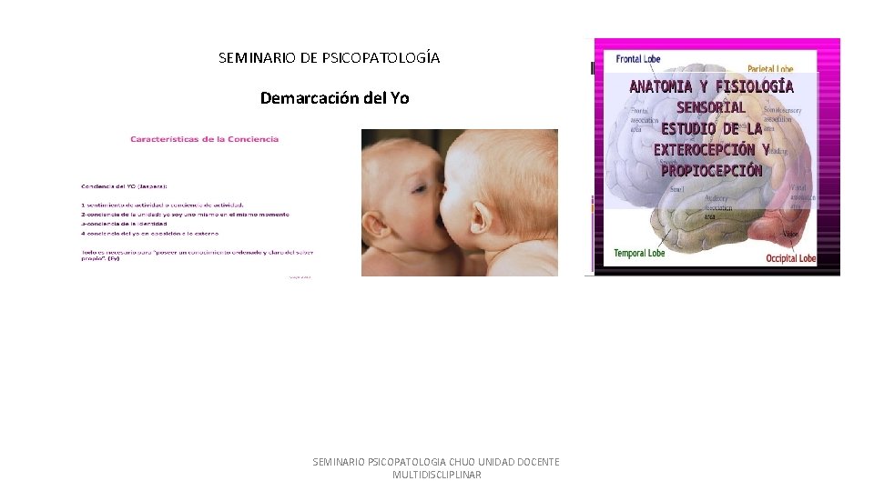 SEMINARIO DE PSICOPATOLOGÍA Demarcación del Yo SEMINARIO PSICOPATOLOGIA CHUO UNIDAD DOCENTE MULTIDISCLIPLINAR 