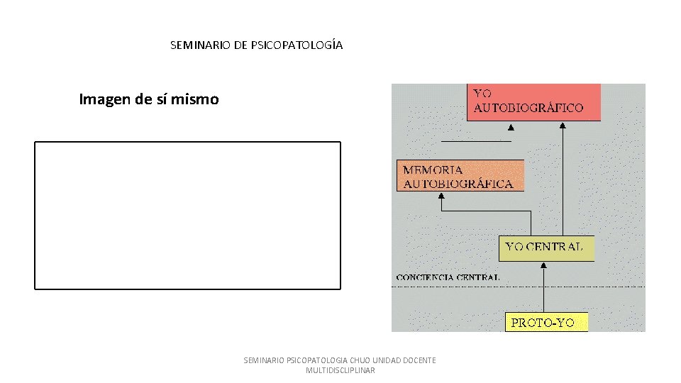 SEMINARIO DE PSICOPATOLOGÍA Imagen de sí mismo Concepto acerca de si mismo, lo que