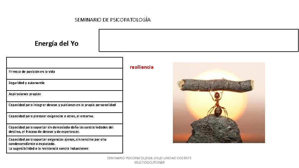 SEMINARIO DE PSICOPATOLOGÍA Energía del Yo Resultado de todas las dimensiones anteriores. Caracteriza a